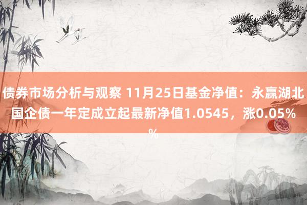 债券市场分析与观察 11月25日基金净值：永赢湖北国企债一年定成立起最新净值1.0545，涨0.05%