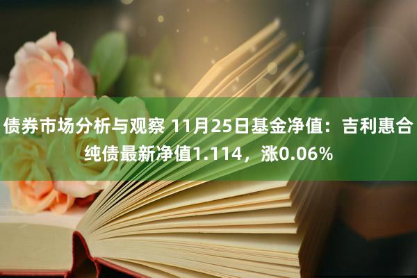 债券市场分析与观察 11月25日基金净值：吉利惠合纯债最新净值1.114，涨0.06%