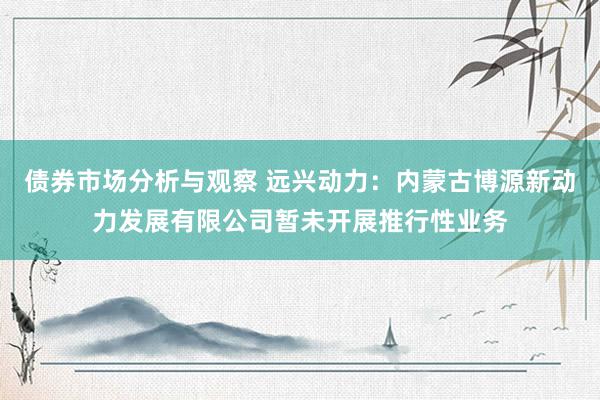 债券市场分析与观察 远兴动力：内蒙古博源新动力发展有限公司暂未开展推行性业务