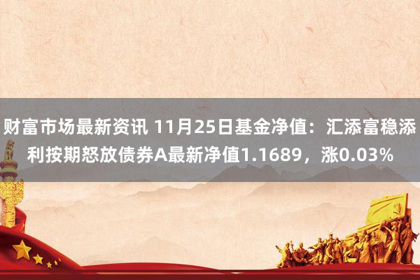 财富市场最新资讯 11月25日基金净值：汇添富稳添利按期怒放债券A最新净值1.1689，涨0.03%