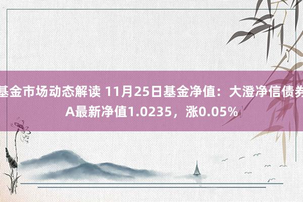 基金市场动态解读 11月25日基金净值：大澄净信债券A最新净值1.0235，涨0.05%