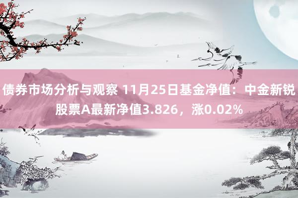 债券市场分析与观察 11月25日基金净值：中金新锐股票A最新净值3.826，涨0.02%