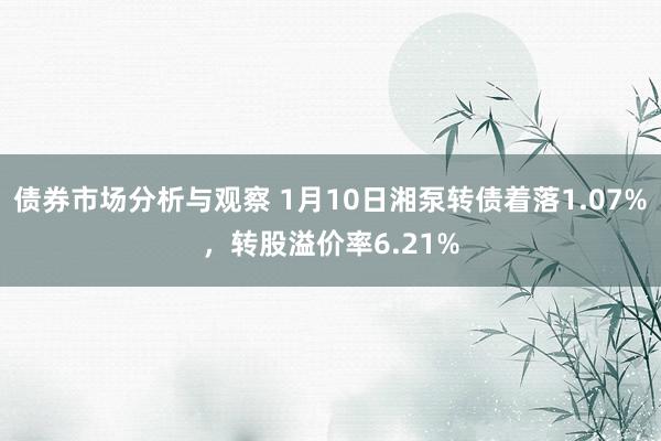 债券市场分析与观察 1月10日湘泵转债着落1.07%，转股溢价率6.21%