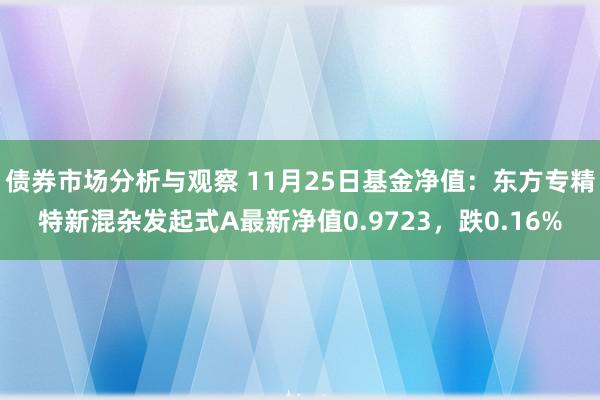 债券市场分析与观察 11月25日基金净值：东方专精特新混杂发起式A最新净值0.9723，跌0.16%