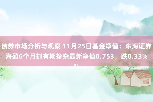 债券市场分析与观察 11月25日基金净值：东海证券海盈6个月抓有期搀杂最新净值0.753，跌0.33%